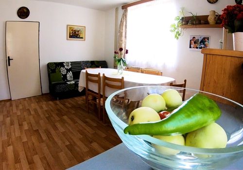 Dvougenerační rodinný dům se dvěma byty nedaleko Prahy