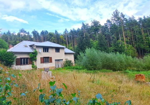 Rozlehlá zemědělská usedlost s pozemky přes 4 ha, Horní Paseka, Vysočina