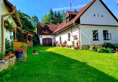 Venkovský rodinný dům 4+1 s vedlejšími stavbami a zahradou s pozemkem 1 598 m² v obci Olešná