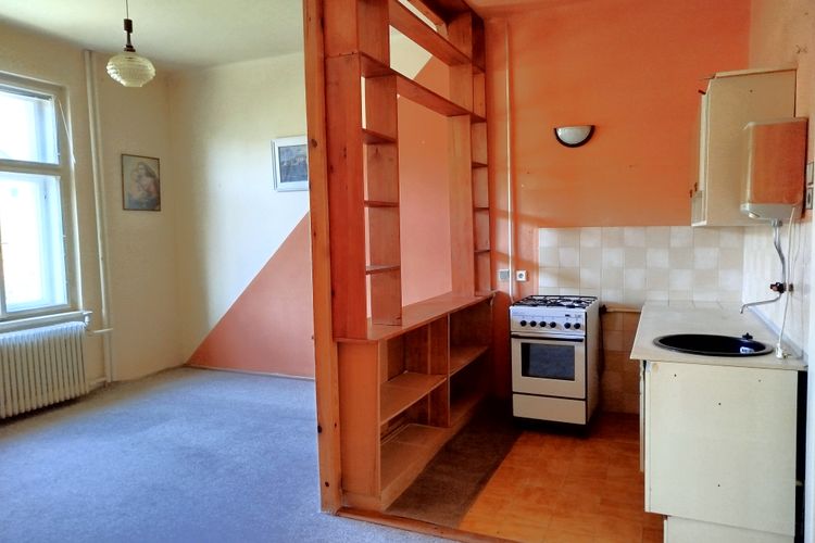 Prostorný rodinný dům s velkým potenciálem a zahradou ve vilové čtvrti v Písku, Jižní Čechy