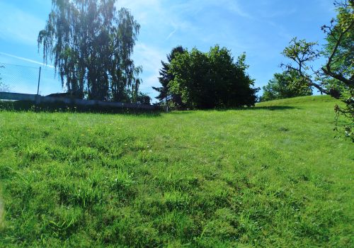 Venkovský rodinný dům 4+1 s vedlejšími stavbami a zahradou s pozemkem 1 598 m² v obci Olešná