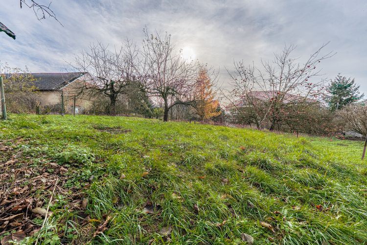 Rodinný dům v obci Koupě se 2 byty a 2.576 m2 pozemku - vše stavební ! Okres Příbram