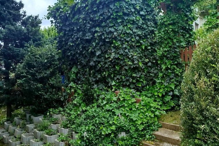 Prostorný slunný byt 2+1 s jídelnou na Hradišti v Písku, s možností zahrádky