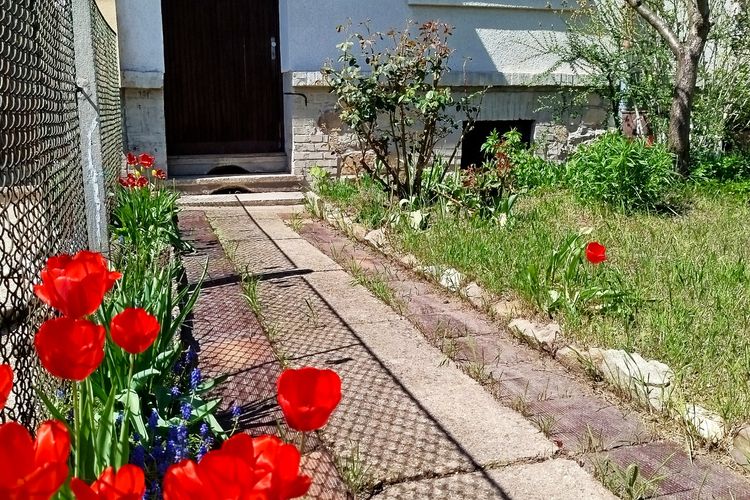 Prostorný rodinný dům s velkým potenciálem a zahradou ve vilové čtvrti v Písku, Jižní Čechy