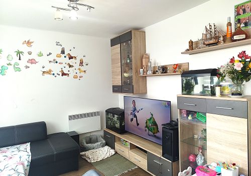 Světlý útulný byt 2+1 ve Vodňanech
