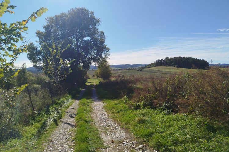 Pozemky pro výstavbu RD na krásném místě ve Strakonicích - Dražejov